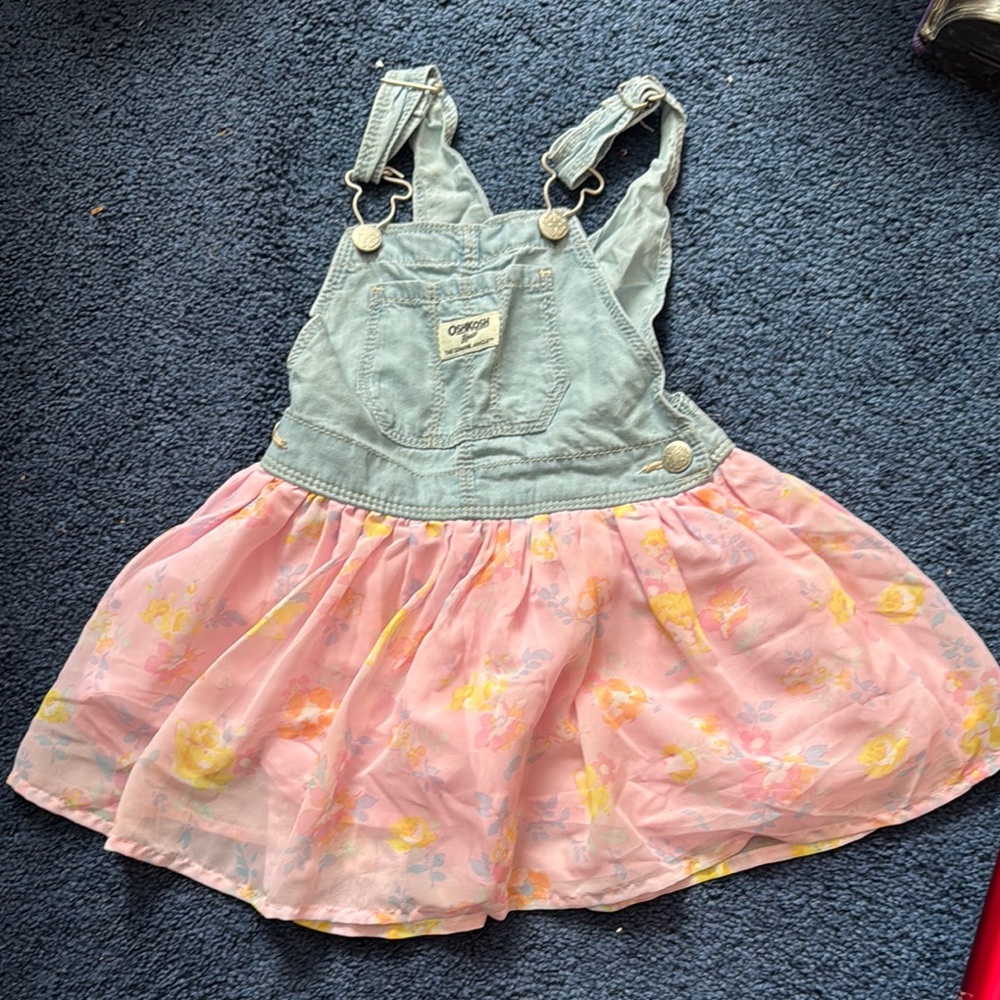 Pink and Blue Floral Overall Dress